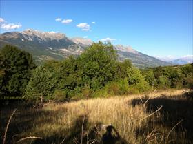 Terrain - batie vielle - SUPERBE EMPLACEMENT